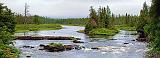 Jackpine River_01798-9